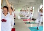 hatha yoga teacher training Course