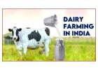 Get Funding for Your Dairy Business in India Today