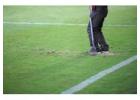 Buy Premium Cricket Turf from Leading Manufacturer | Order Today