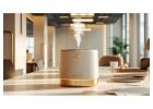 Transform Your Business with Professional Scent Marketing