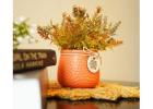 Embellish Your Space: Signature Home Decor Finds