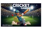 Stay Ahead of the Game: How Reddy Book Club is Revolutionizing Cricket Match Updates in India for 20