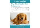 Dog Boarding Services in