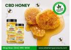 Premium CBD Honey – Nature’s Sweet Relief
