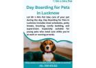 Day Boarding for Pets in