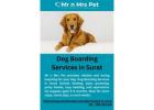 Dog Boarding Services in
