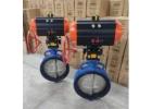 Pneumatic Butterfly Valve Suppliers in India