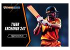 Tiger Exchange 247: Win money playing Tiger Exchange 247 and Tigerexch247