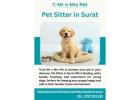 Pet Sitter in