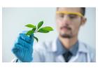 Best Drug Rehabilitation Centre In Delhi - Humana Wellness Centre