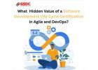 The Role of Digital Transformation Certification in Driving Innovation Across Industries.