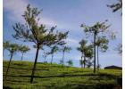 Motorbike Tours Kerala with Karmayatri – Explore God’s Own Country on Two Wheels