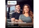 Small Businesses for Sale: Great Deals for Aspiring Entrepreneurs