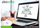 Professional SEO Services for Business Growth