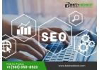 Local SEO Services Miami That Turn Clicks into Customers