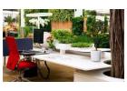 Corporate Plants & Mental Health: A Natural Partnership