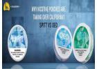 Why Nicotine Pouches Are Taking Over California: Spitt vs OEO