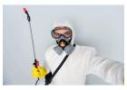 Pest Control Services Cardiff