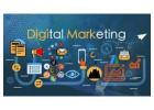 Digital Marketing in Chandigarh​