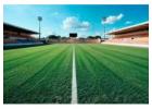 Experienced Cricket Turf Manufacturer - Contact Us