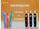 Lost Mary vs Flum Mello, Which Disposable Wins?