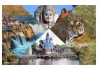 Madhya Pradesh Holiday Packages. Book Your Dream Vacation