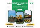 Forestry Mulching Services in Boerne