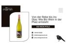 Von der Rebe bis ins Glas: Wie Bio Wein in der Pfalz entsteht