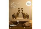 Corporate Gifting Planters in Bangalore – Sustainable & Stylish Gifts from Atbodhi