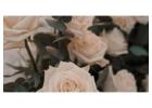 Plan Your Dream Elopements Anna Maria with Certified Cupid