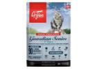 Orijen Dog Food – Complete Nutrition