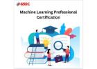 How Certified Machine Learning Professionals Are Powering the Next Wave of AI Innovation.