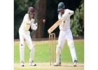 Join Cricket Tournaments