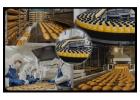 Food Industry Regulations
