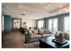 Transform Your Living Space with Professional Interior Painting Services