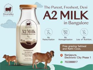 Organic cow Milk Delivery in Electronic City Bangalore Organic cow Milk Delivery in Electronic City Bangalore