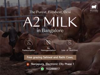 Buy Pure organic A2 milk in electronic city Bangalore Buy Pure organic A2 milk in electronic city Bangalore