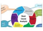 Root Cause Failure Analysis (RCFA)