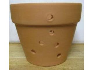 Orchid Pots: Optimal Containers for Thriving Orchid Roots Orchid Pots: Optimal Containers for Thriving Orchid Roots