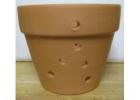 Orchid Pots: Optimal Containers for Thriving Orchid Roots