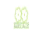 Flower Delivery Greensborough