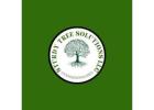 Sturdy Tree Solutions LLC