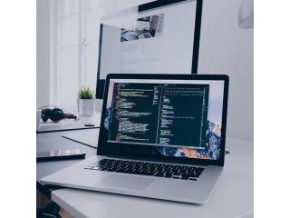 SEO Expert services Provider SEO Expert services Provider