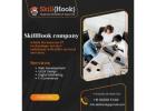 Professional Web Design Company | Skill Hook India