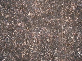 Get 100% Organic Mulch Supplies near Me at BlackWoodLFS Get 100% Organic Mulch Supplies near Me at BlackWoodLFS