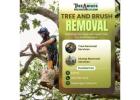 Tree and Brush Removal in Boerne
