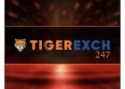 Experience Secure Betting with Tiger Exchange 247 on Amiri Book