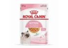 Healthy & Delicious Royal Canin Cat Food