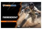 Tiger Exchange 247: Guide to the Tiger Exchange 247 Online Betting Platform