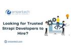 Looking for Trusted Strapi Developers to Hire?